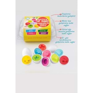 Circle Toys 6'lı Geometrik Yumurta Eşleme Oyunu